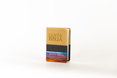 Biblia compacta con concordancia - Color beige/gris