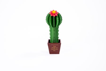 Cactus 3D con Mensaje Grabado
